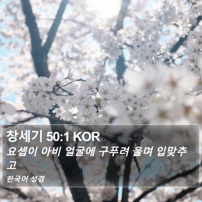 창세기 50:1 KOR Bible Verse Image