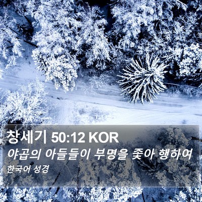 창세기 50:12 KOR Bible Verse Image