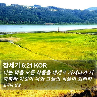 창세기 6:21 KOR Bible Verse Image