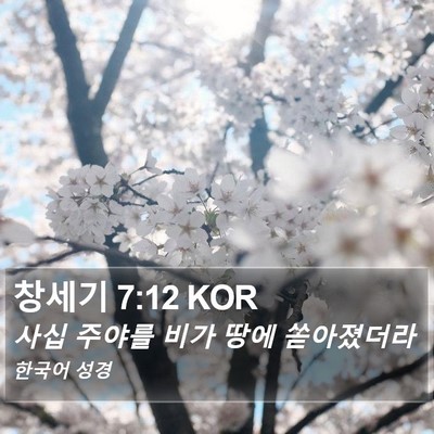 창세기 7:12 KOR Bible Verse Image