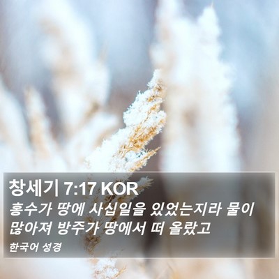 창세기 7:17 KOR Bible Verse Image