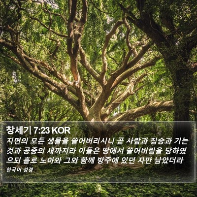 창세기 7:23 KOR Bible Verse Image