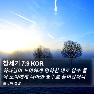 창세기 7:9 KOR Bible Verse Image
