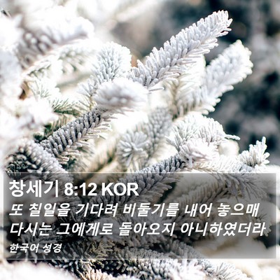 창세기 8:12 KOR Bible Verse Image