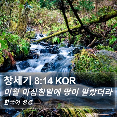 창세기 8:14 KOR Bible Verse Image