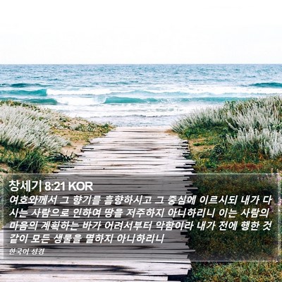 창세기 8:21 KOR Bible Verse Image