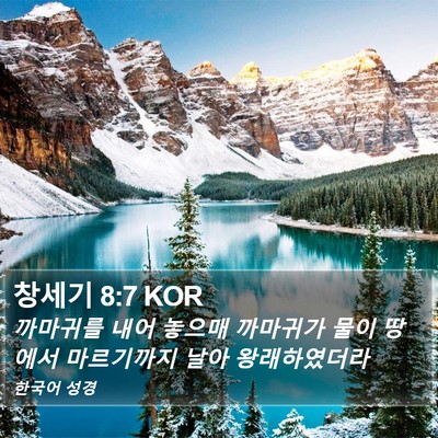 창세기 8:7 KOR Bible Verse Image