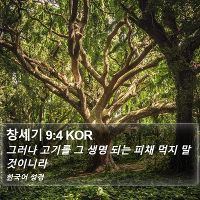 창세기 9:4 KOR Bible Verse Image