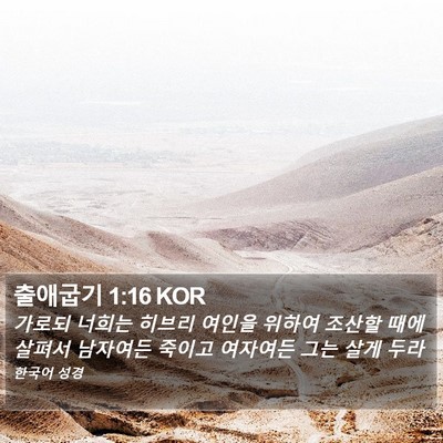 출애굽기 1:16 KOR Bible Verse Image
