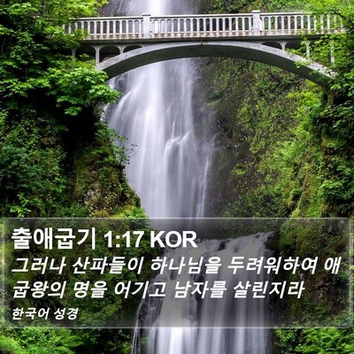 출애굽기 1:17 KOR Bible Verse Image