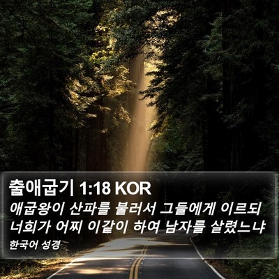 출애굽기 1:18 KOR Bible Verse Image