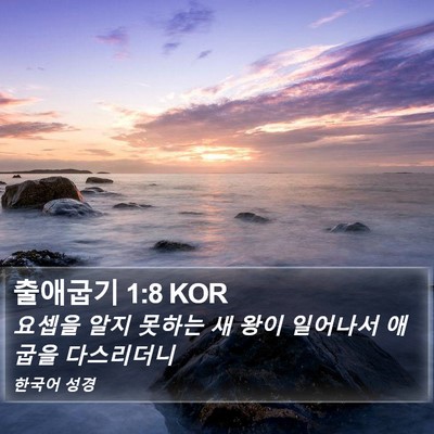 출애굽기 1:8 KOR Bible Verse Image