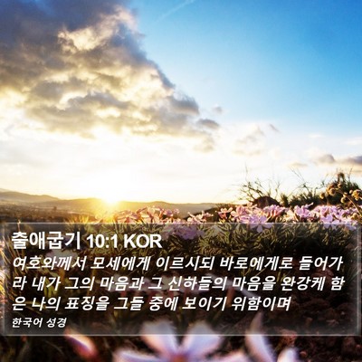 출애굽기 10:1 KOR Bible Verse Image