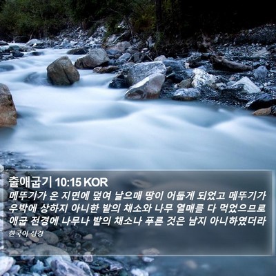 출애굽기 10:15 KOR Bible Verse Image
