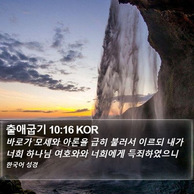 출애굽기 10:16 KOR Bible Verse Image