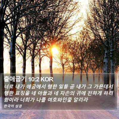 출애굽기 10:2 KOR Bible Verse Image