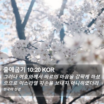 출애굽기 10:20 KOR Bible Verse Image