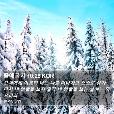출애굽기 10:28 KOR Bible Verse Image
