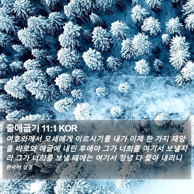 출애굽기 11:1 KOR Bible Verse Image