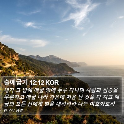 출애굽기 12:12 KOR Bible Verse Image