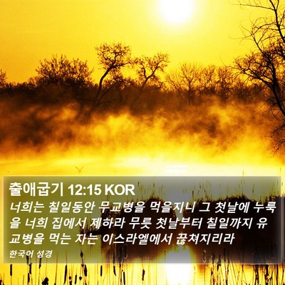 출애굽기 12:15 KOR Bible Verse Image