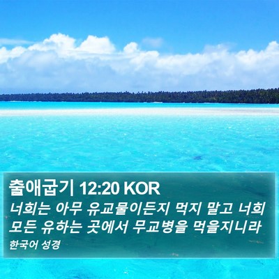 출애굽기 12:20 KOR Bible Verse Image
