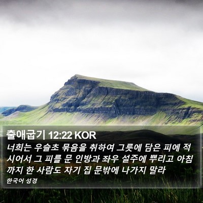 출애굽기 12:22 KOR Bible Verse Image