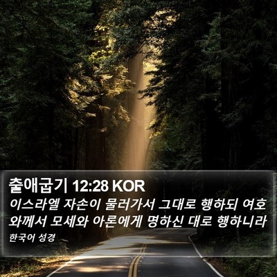 출애굽기 12:28 KOR Bible Verse Image
