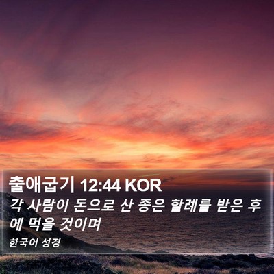 출애굽기 12:44 KOR Bible Verse Image
