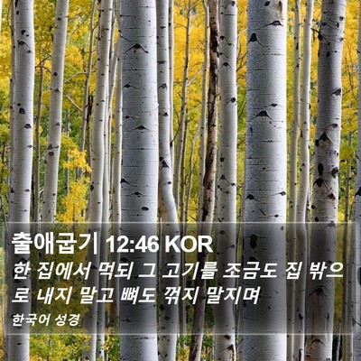 출애굽기 12:46 KOR Bible Verse Image