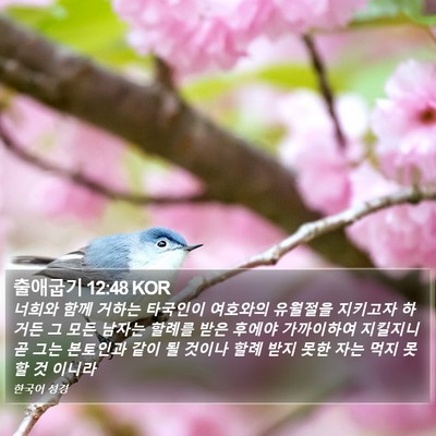 출애굽기 12:48 KOR Bible Verse Image
