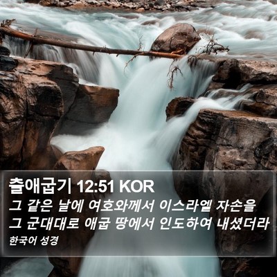 출애굽기 12:51 KOR Bible Verse Image