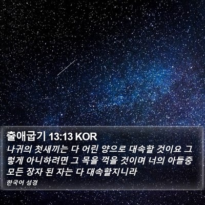 출애굽기 13:13 KOR Bible Verse Image