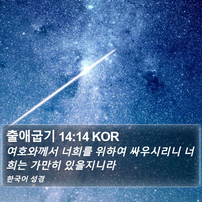 출애굽기 14:14 KOR Bible Verse Image
