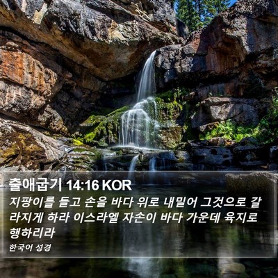 출애굽기 14:16 KOR Bible Verse Image