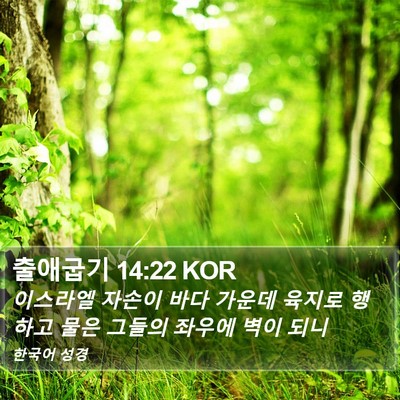출애굽기 14:22 KOR Bible Verse Image