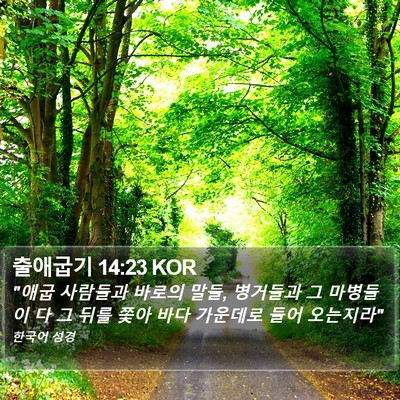 출애굽기 14:23 KOR Bible Verse Image