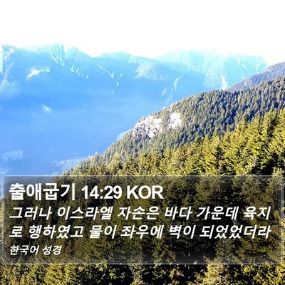 출애굽기 14:29 KOR Bible Verse Image