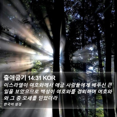 출애굽기 14:31 KOR Bible Verse Image