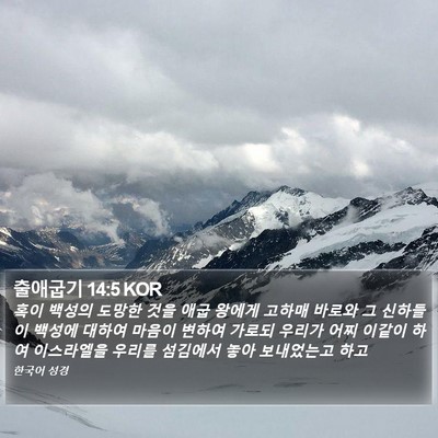 출애굽기 14:5 KOR Bible Verse Image