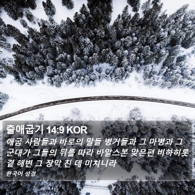출애굽기 14:9 KOR Bible Verse Image