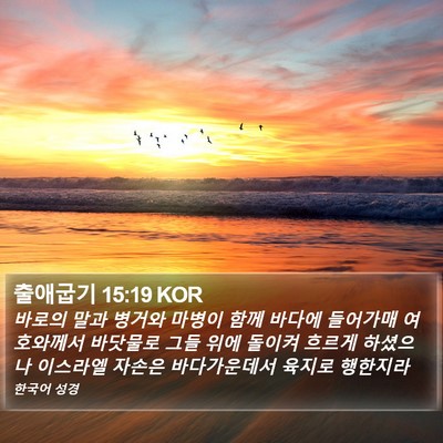 출애굽기 15:19 KOR Bible Verse Image