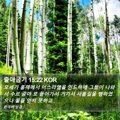 출애굽기 15:22 KOR Bible Verse Image