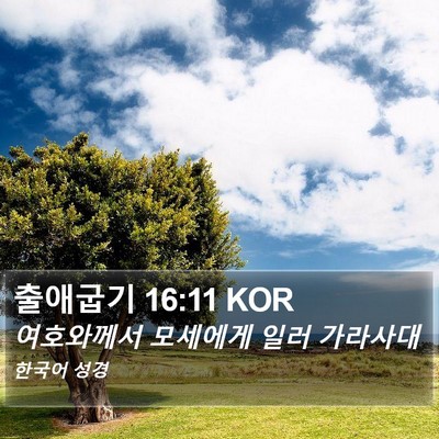 출애굽기 16:11 KOR Bible Verse Image