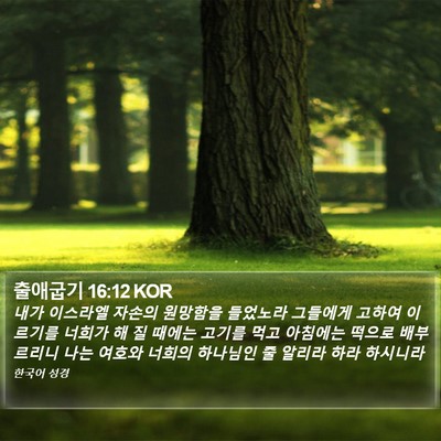 출애굽기 16:12 KOR Bible Verse Image