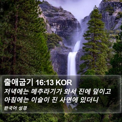 출애굽기 16:13 KOR Bible Verse Image