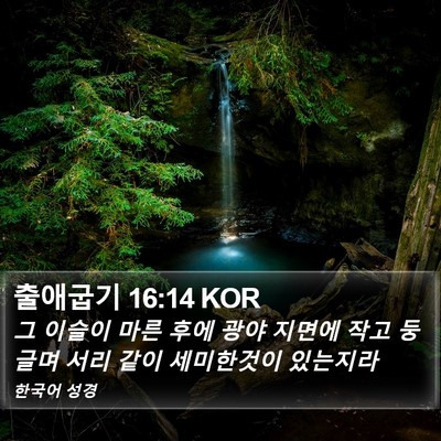 출애굽기 16:14 KOR Bible Verse Image