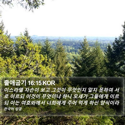출애굽기 16:15 KOR Bible Verse Image