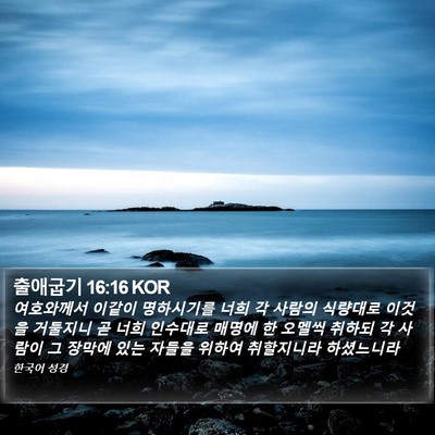 출애굽기 16:16 KOR Bible Verse Image