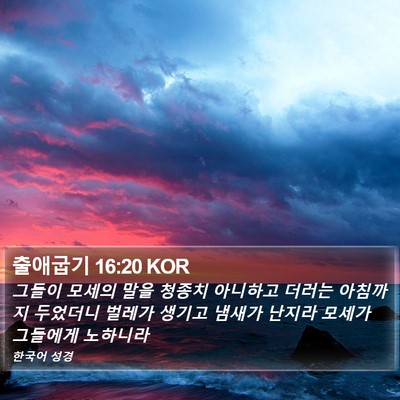 출애굽기 16:20 KOR Bible Verse Image